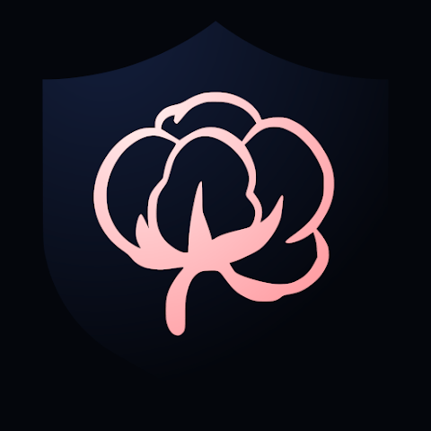 Bolls Bible API App