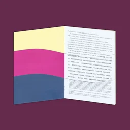 Paper Bible