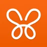Monarch Money App