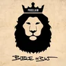Bible365 App