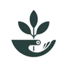 Scatter App